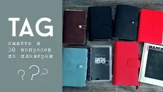 Тэг по планерам / моя анкета по планерам / 30 вопросов для планеролюба