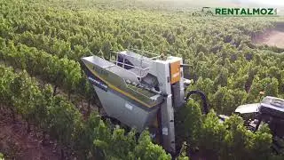 Pellenc Grapes Line -  RENTALMOZ
