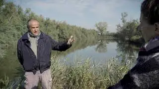 Cab Massari, il 25% della superficie è bio