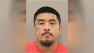 Arrest made in hit and run crash