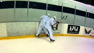 Hardcore Hockey - Stick Check