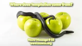 Where does temptation come from?  (Micro Message # 53)