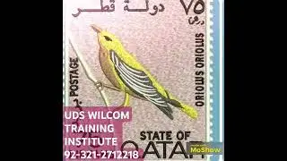 WILCOM Digitizing Computer Embroidery Course Details 92 321 271 22 18