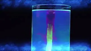 SUPERTAC-395 UV Instructions Fluorescent Vortex