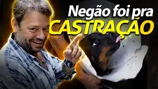 MEU ROTTWEILER NEGÃO BRIGOU PRA NÃO SER CASTRADO! | A CASA DOS BICHOS