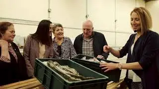Lough Neagh Fisheries Visitor Centre