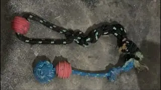 S&iacute;tio Verde is live! Como fazer esse toy pro seu doguinho 🐕