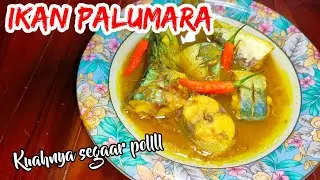 Ternyata begini cara masak Ikan Palumara, Tahan Lama || kaldunya segar, ikannya super empuk