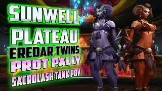 Eredar Twins First Kill Sacrolash MT Prot Paladin POV - TBC Classic