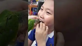 Clever Parrot Plays Dentist
