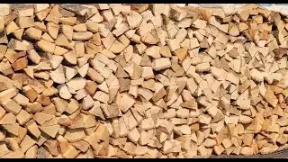🔥 STAGIONATURA della LEGNA da ARDERE | Consigli pratici e differenze in base al CLIMA