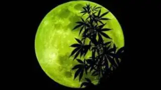 JL X PUK - VEO LA LUNA