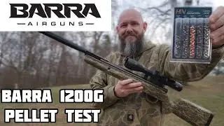 Тест пеллет Barra 1200G &ndash; пересмотр точности и поиск оптимальных пеллет.