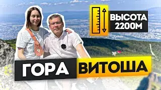 Поднялись на Витошу (2200 м) &mdash; ручей, водопад и вид на всю Софию!