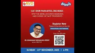 IAVD Drools Webinar 23-11-2025