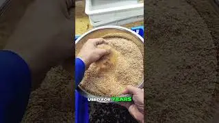 How to Prevent Green Mites with Wheat Bran Tips