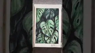 A bunch of leaves