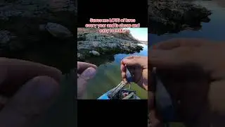 Save time and lures with this cheap fishing hack 🎣 #fishing #fishingaddict #fishinglifestyle #fish