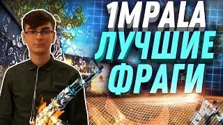 1MPALA ЛУЧШИЕ ФРАГИ | CS:GO Stream Highlights