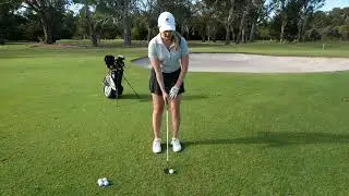 Healthway at Home - How to chip it close