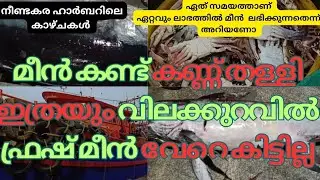 Fresh Fish at Lowest Price #Neendakara Harbour #Wholesale Fish Market #Kollam Fishing Harbour #Fish