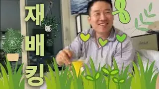 재배킹