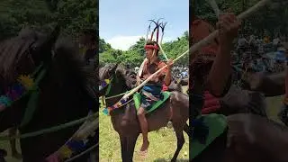 Kita siap beraksi - Pasola Kodi 2025 Sumba Barat Day