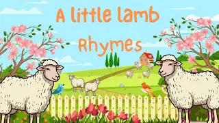 LITTLE lamb song 🐑 / tamil ryhmes / education /#kidssong