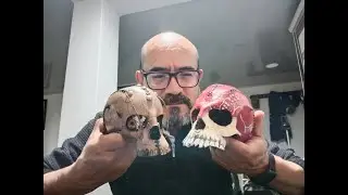 Como hacer un  porta vela en cuero Vaqueta