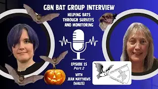 Good Bat Neighbor Bat Group Interview Episode 15 Pt. 2 - Jean Matthews