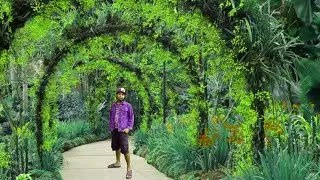 Sorry - Netral cover wadodor ajeh