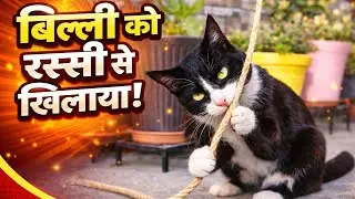 👉 “रस्सी आई… और बिल्ली पूरी पागल हो गई 😱😹”The Cat Went Crazy After Seeing the Rope 😹🔥