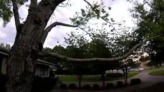 DrAbsurd FPV Landing in a tree on purpose @1:40