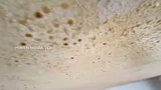 Ceiling repair services in Victoria BC