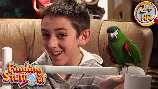 Learning Languages | Preschool Learning Videos For Kids | Finding Stuff Out | 9 Story Fun