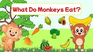 🍌What Do Monkeys Eat?  |  Fun Food Facts for Kids | Top 5 Favorite Foods of Monkeys🐵🍍