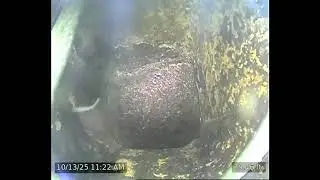 V9074 10:13:25 oil flue