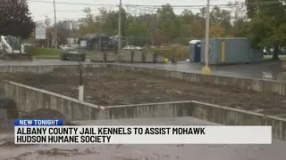 Overcrowded animal shelter gets help from local sheriff