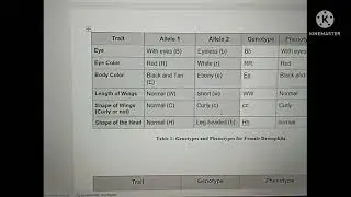 Determine genetic inheritance using coin flip method(MUGILAN A/L NALLIANNAN)23DBT30F2007