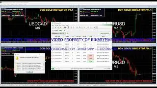 BEST BINARY OPTIONS INDICATOR DON GOLD V4.1 - BEST MT2 SETFILE TRADING INCLUDED!!! CONTACT US!!!!!!!