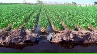Smarter TT - Aplicación Canal de Riego