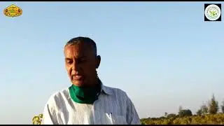 Success Story of Mr. Mohabatsingh Sindhal, Guggul Farmer