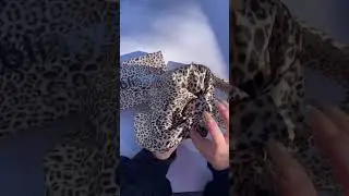 Beauty Essentials: Beauty Bonnet