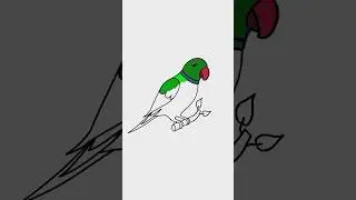 how to colour a parrot 🦜| easy colourful parrot drawing @drawing4455