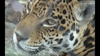 August 7, 2019 Newscast | Cronkite News