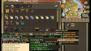 Slayer Bot
