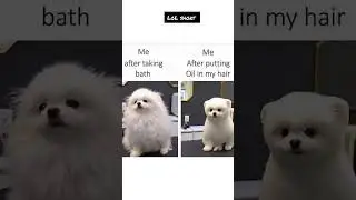 Me after bath 🚿#memes #lol#lolshort#comedy #joks#funny#lugh
