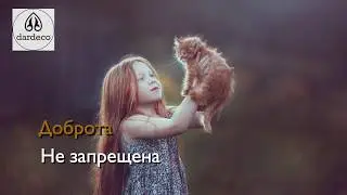 Dardeco. Карантин - время возможностей