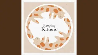 Sleeping Kittens
