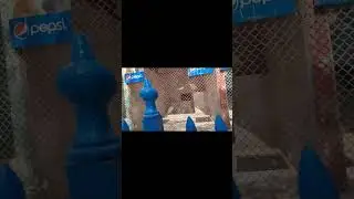 Hens Murgabian